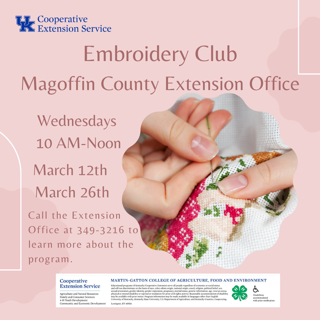 Embroidery Club Flyer