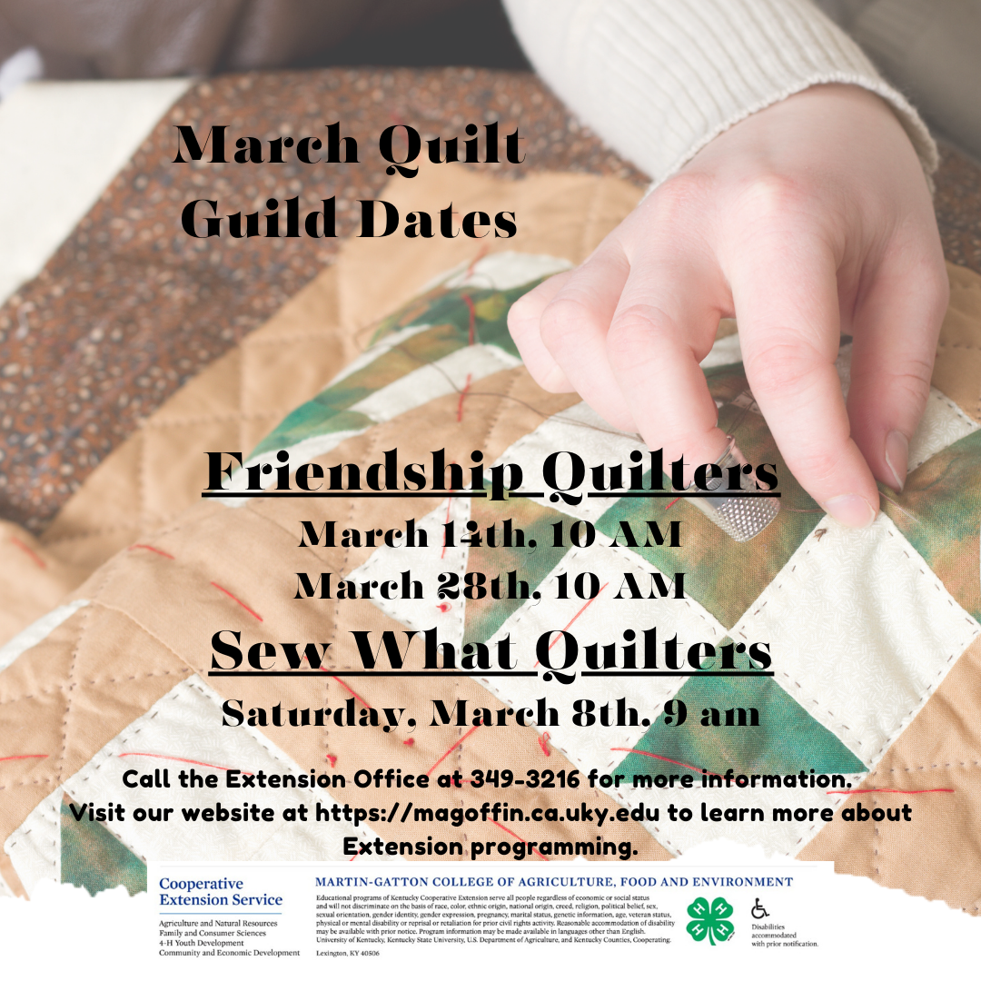 March Quilt Guild Flyer